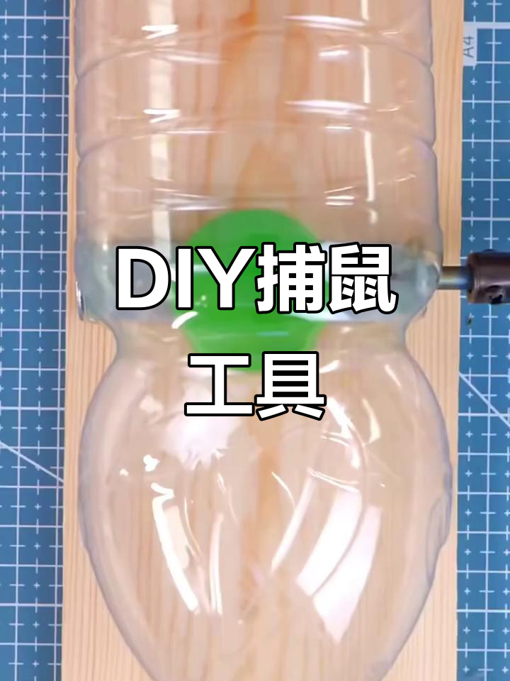 自制抓老鼠神器,轻松捕捉小侵略者