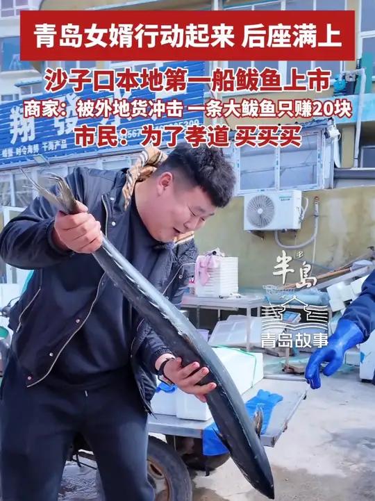 青岛女婿行动起来,后座拉满了!沙子口本地第一船鲅鱼上市,商家:受外地货冲击,一条大鲅鱼只赚