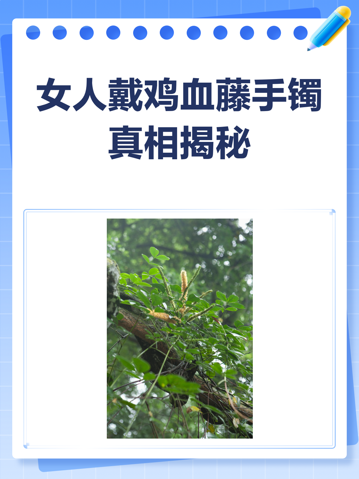 女人戴鸡血藤手镯，真的有用吗？