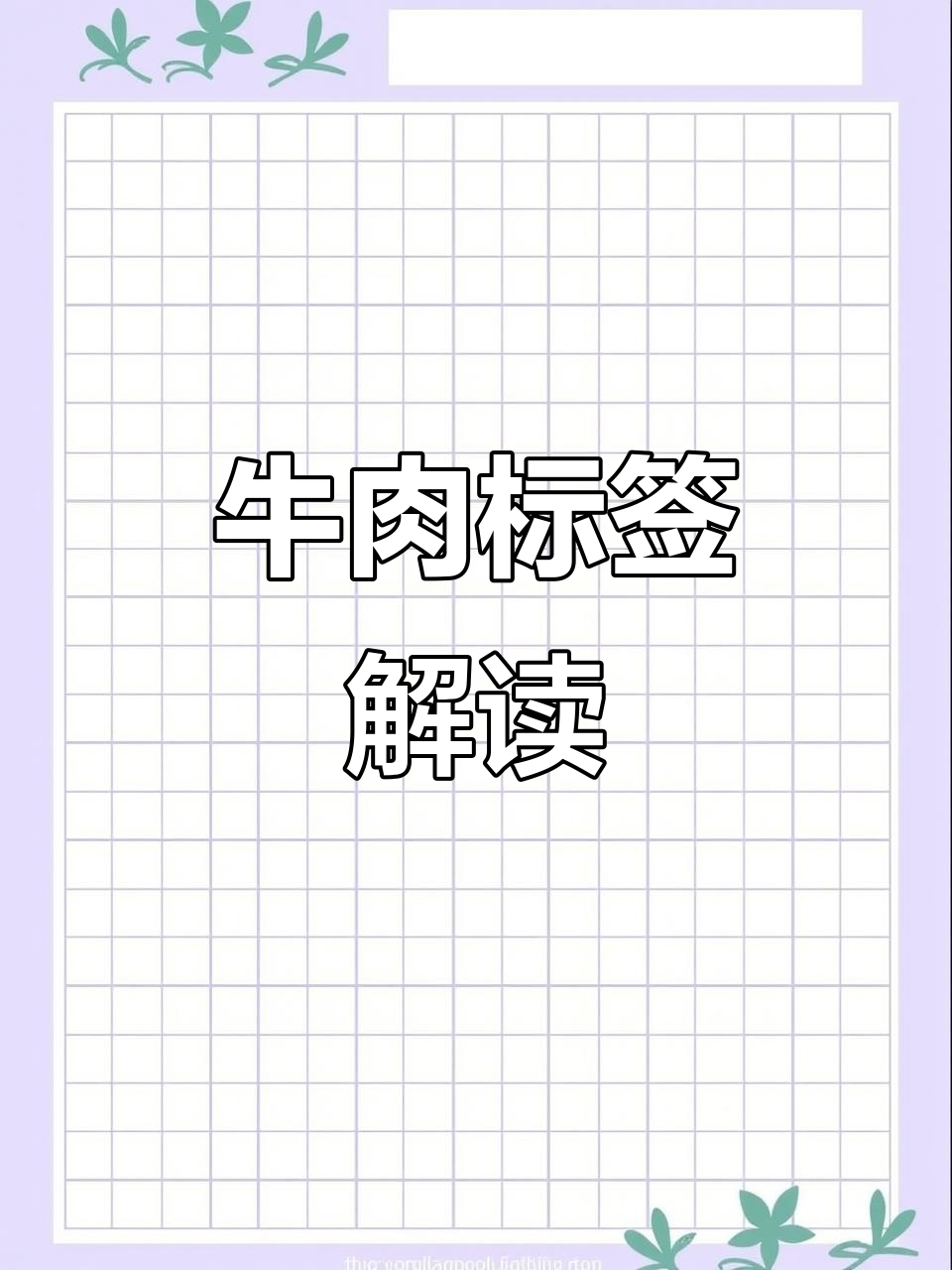 澳洲牛肉标签全解析,了解每项内容含义