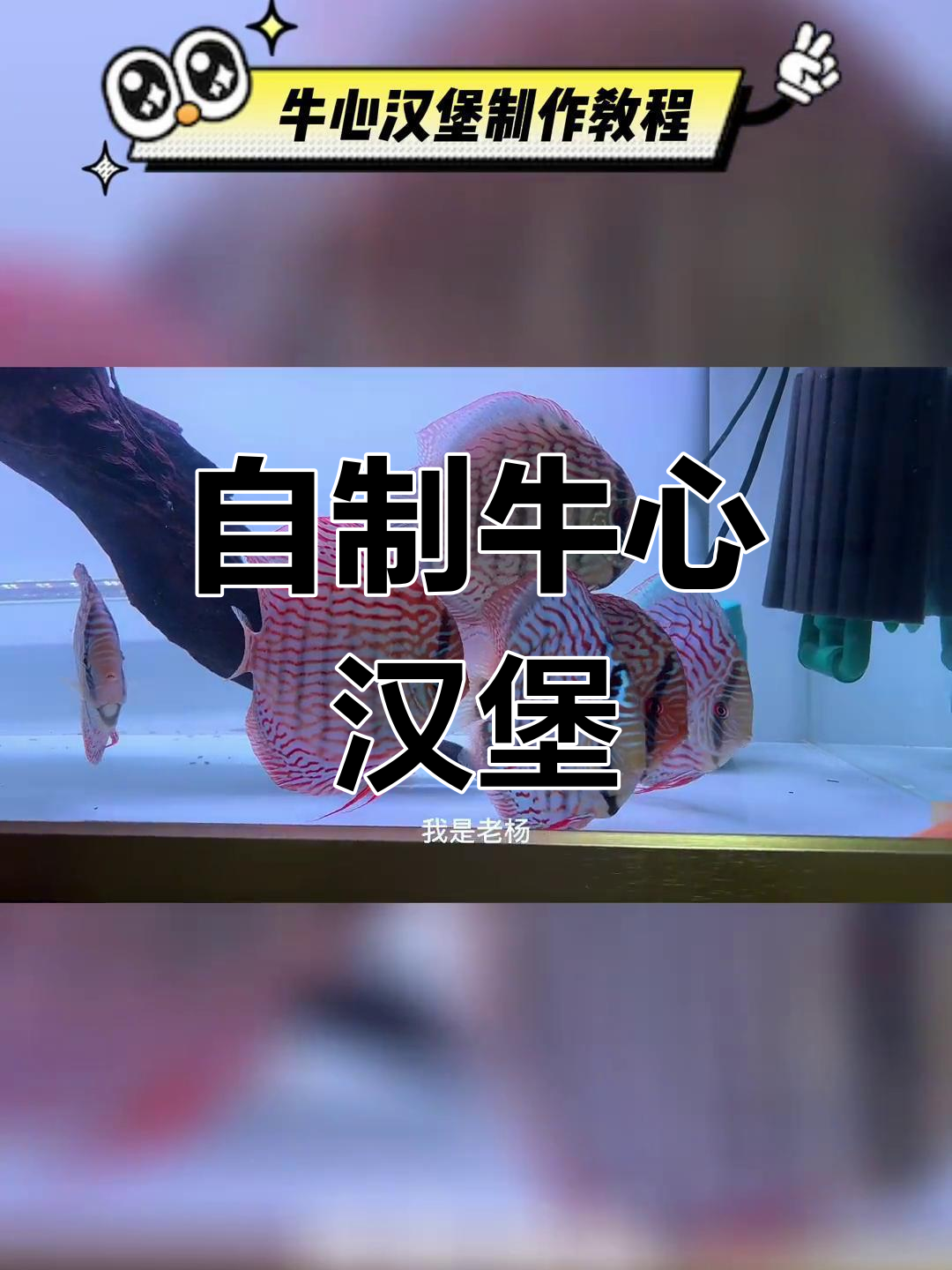 七彩神仙鱼牛心汉堡制作方法