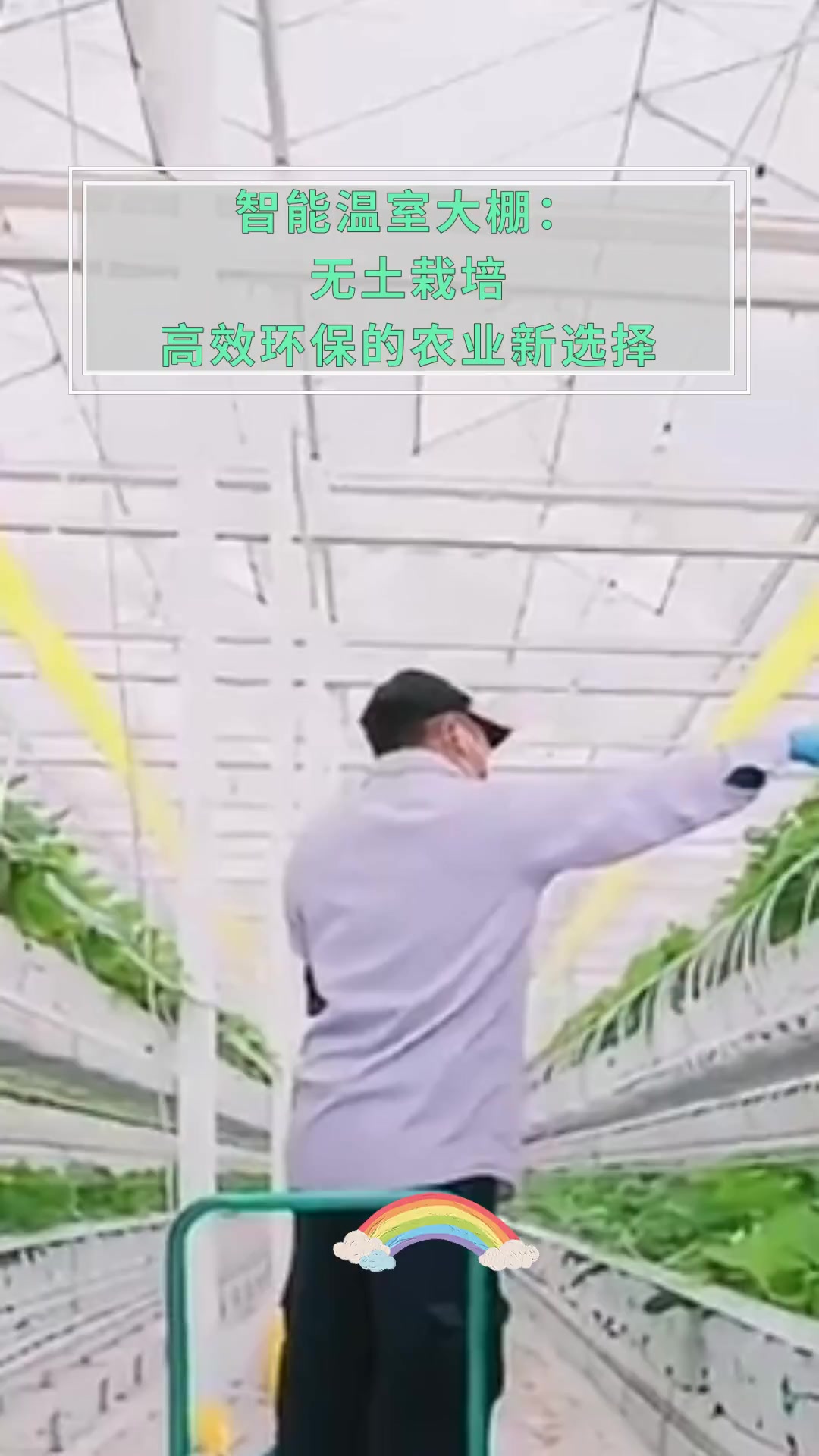 智能温室大棚:无土栽培高效环保的农业新选择