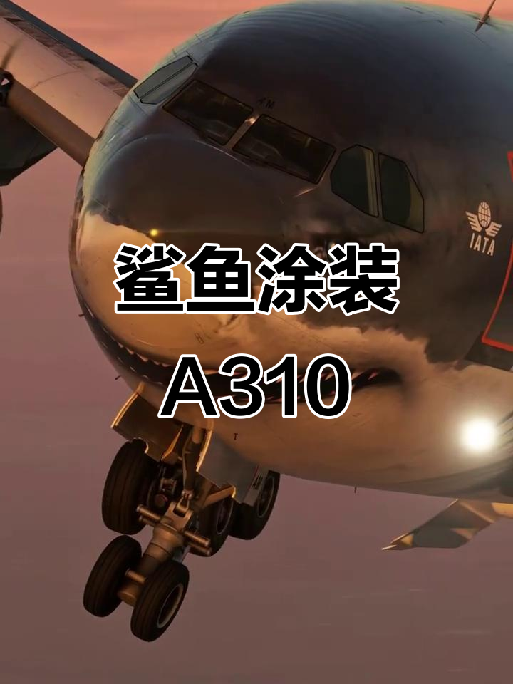 鲨鱼涂装亮相!空客A310-300惊艳登场