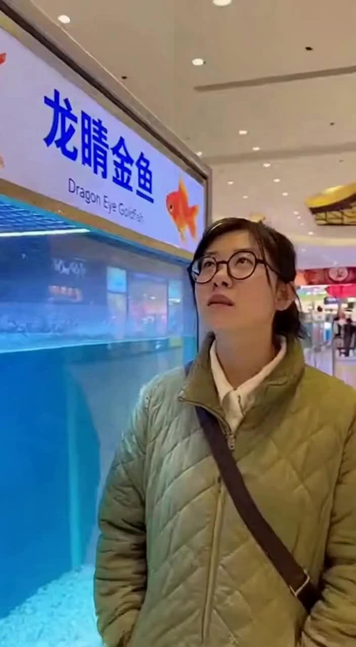 龙睛金鱼!眼睛也跟着变圆啦