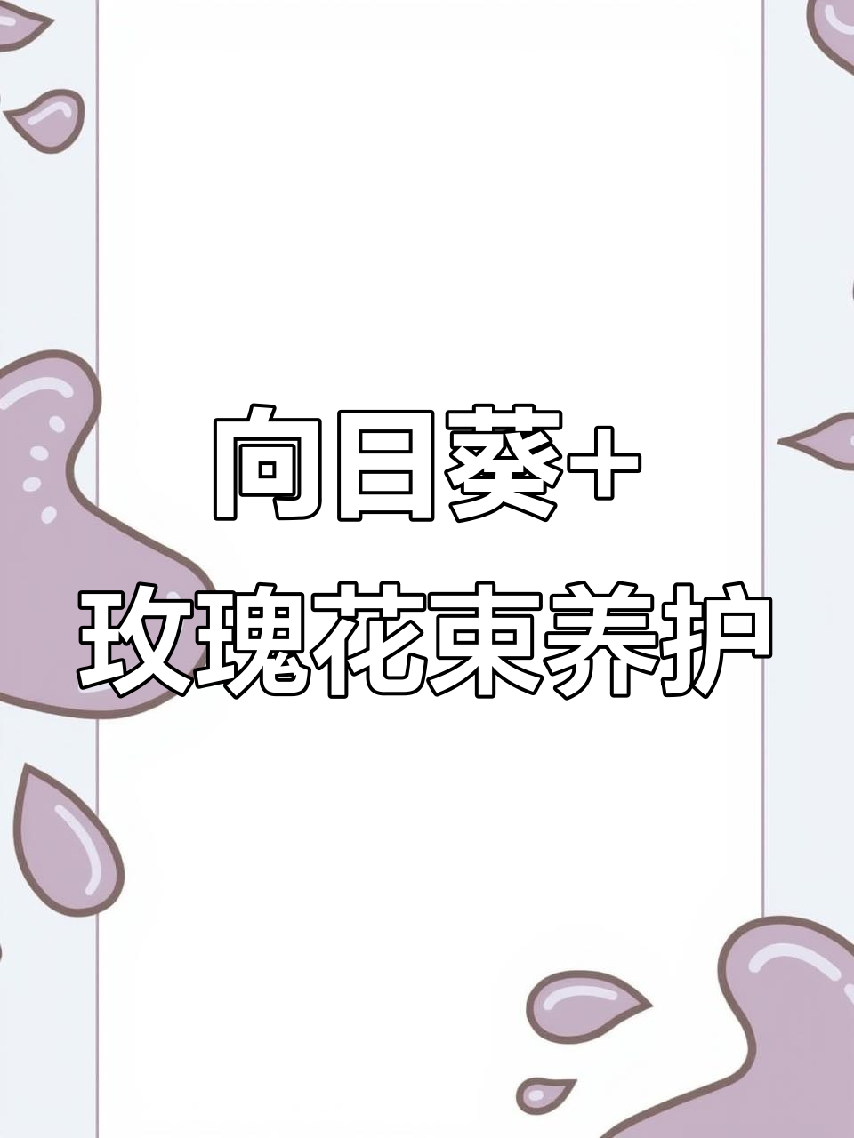 十子粉玫瑰与向日葵搭配,打造完美花束养护技巧