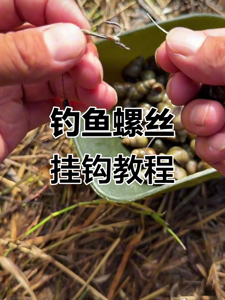 钓青鱼必备技巧：螺丝挂法全解析