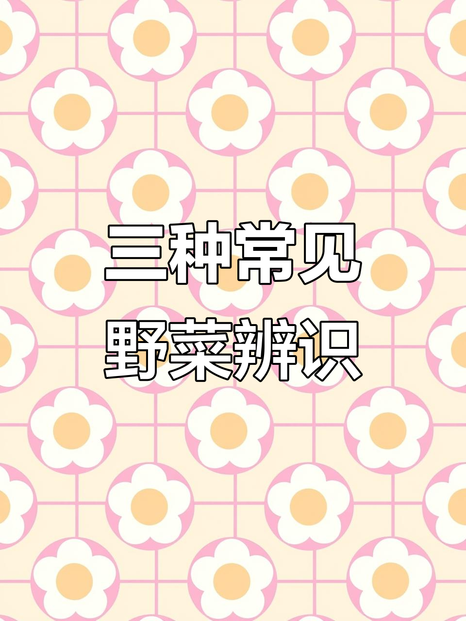 荠菜、芥菜和婆婆丁,三种常见野菜的辨别技巧