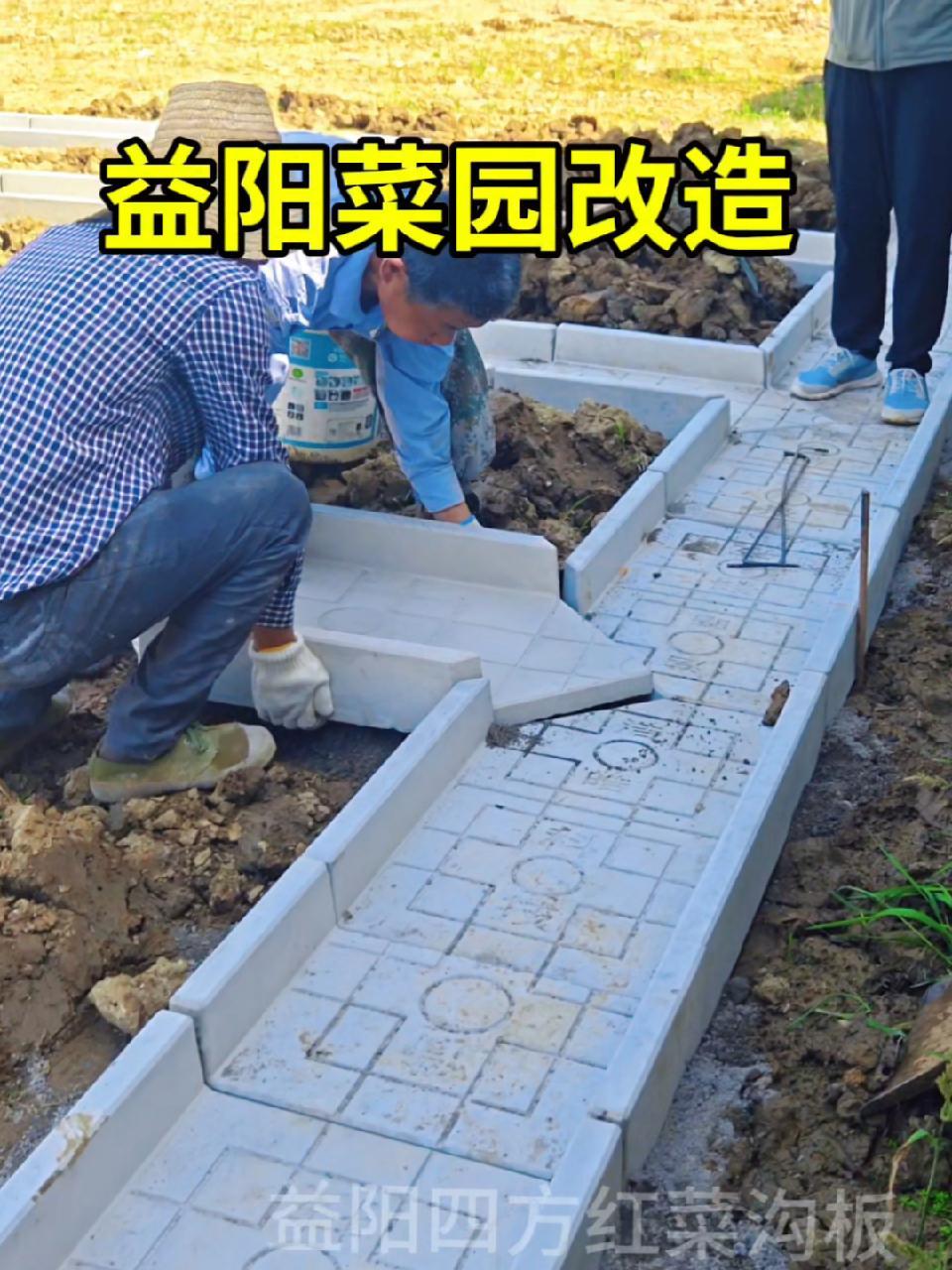 菜沟板 小院改造 庭院设计 菜地设计 新农村