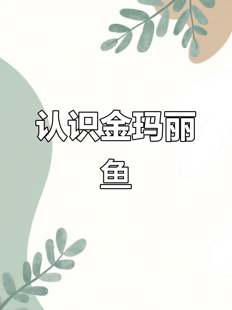 金玛丽鱼：夏日帆船般的热带观赏鱼，了解其饲养技巧