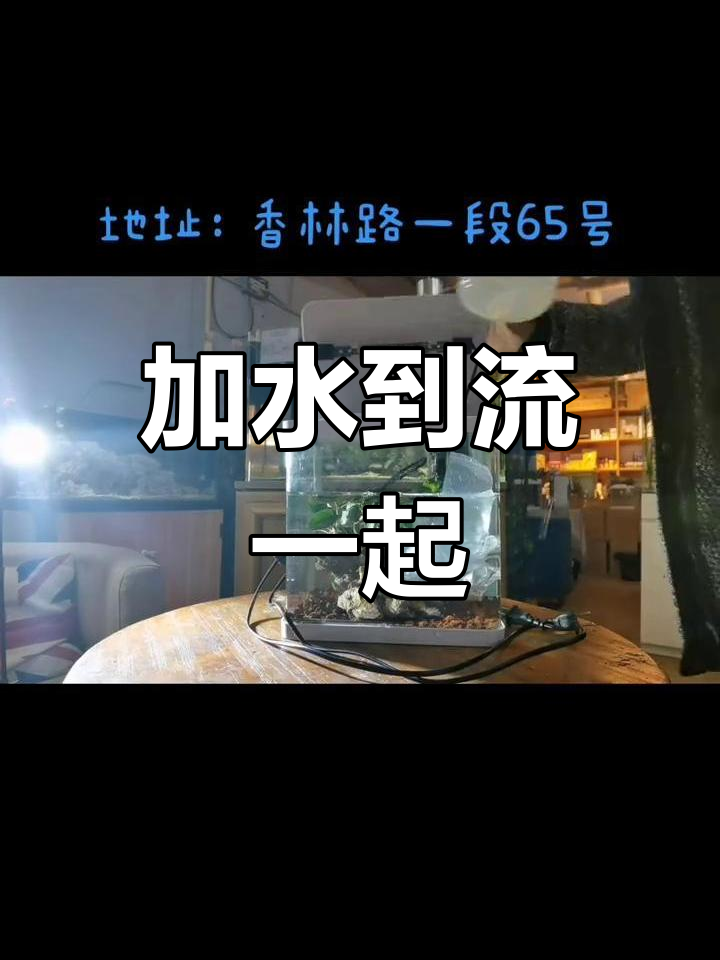鱼缸加水技巧,轻松搞定