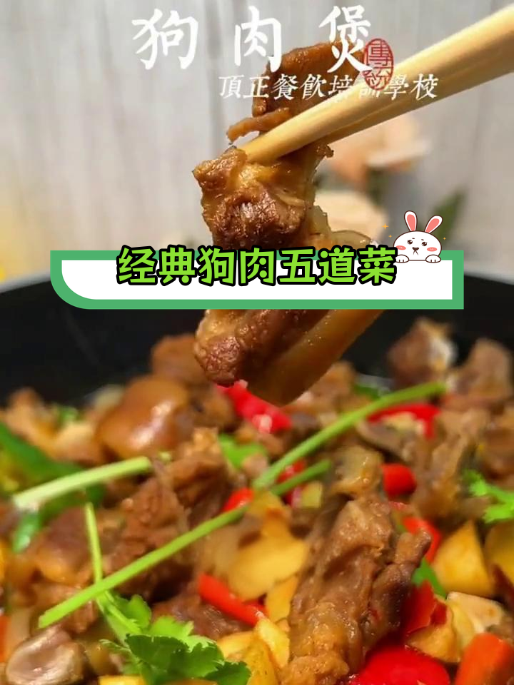 五种美味狗肉做法,家庭版萝卜焖骨肉