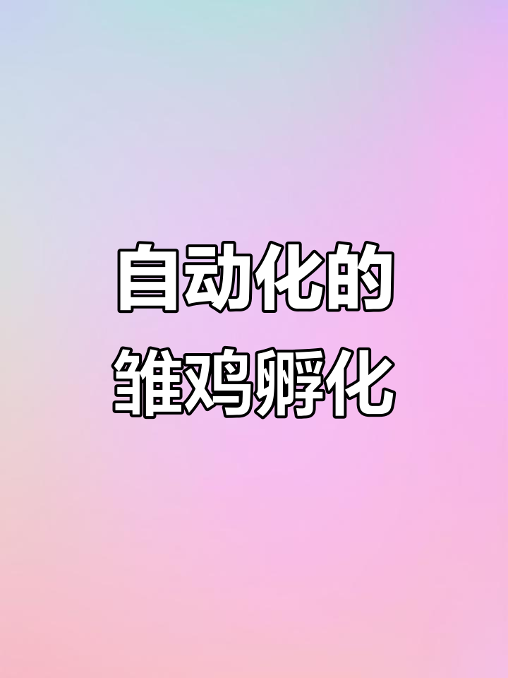 科技孵化场：雏鸡诞生如流水线，疫苗注射自动化