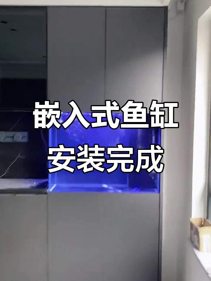 定制墙体嵌入式鱼缸完美安装,效果惊艳!