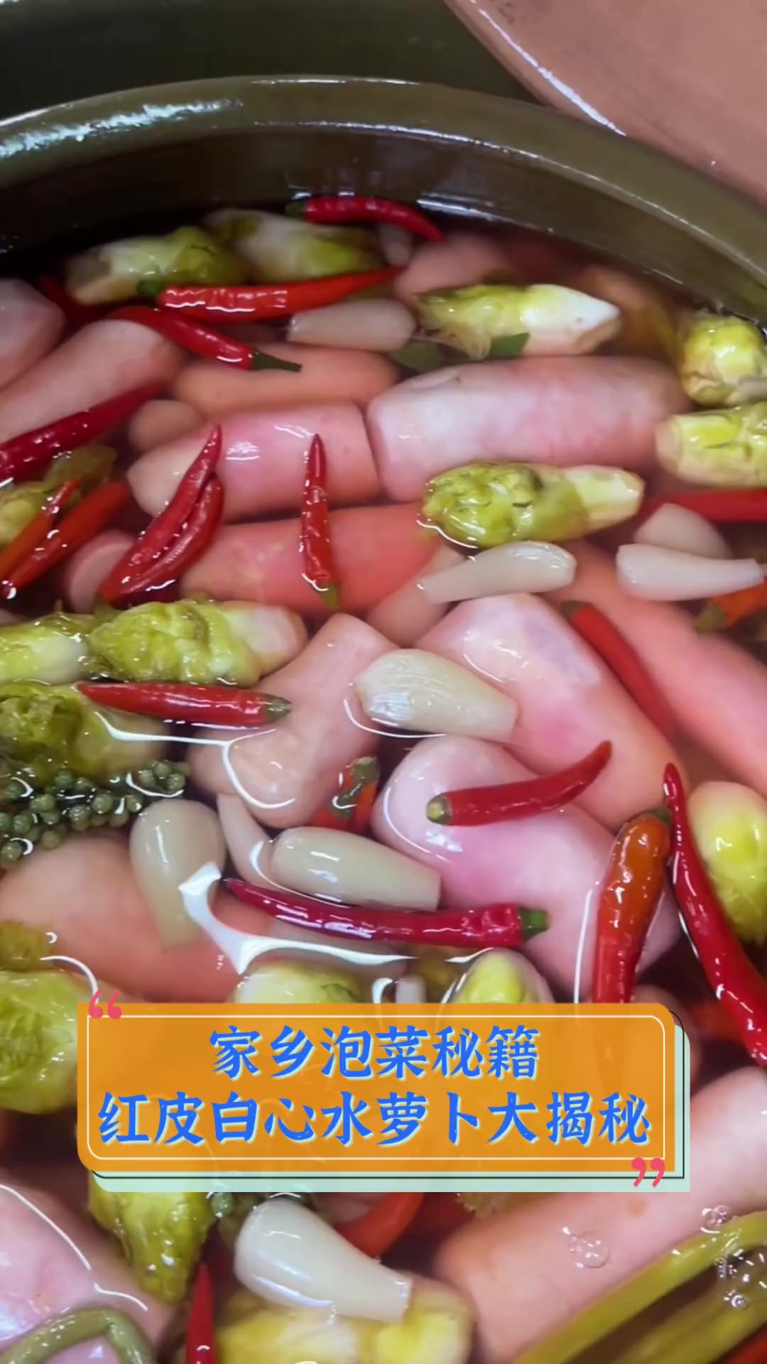 家乡泡菜秘籍,红皮白心水萝卜大揭秘