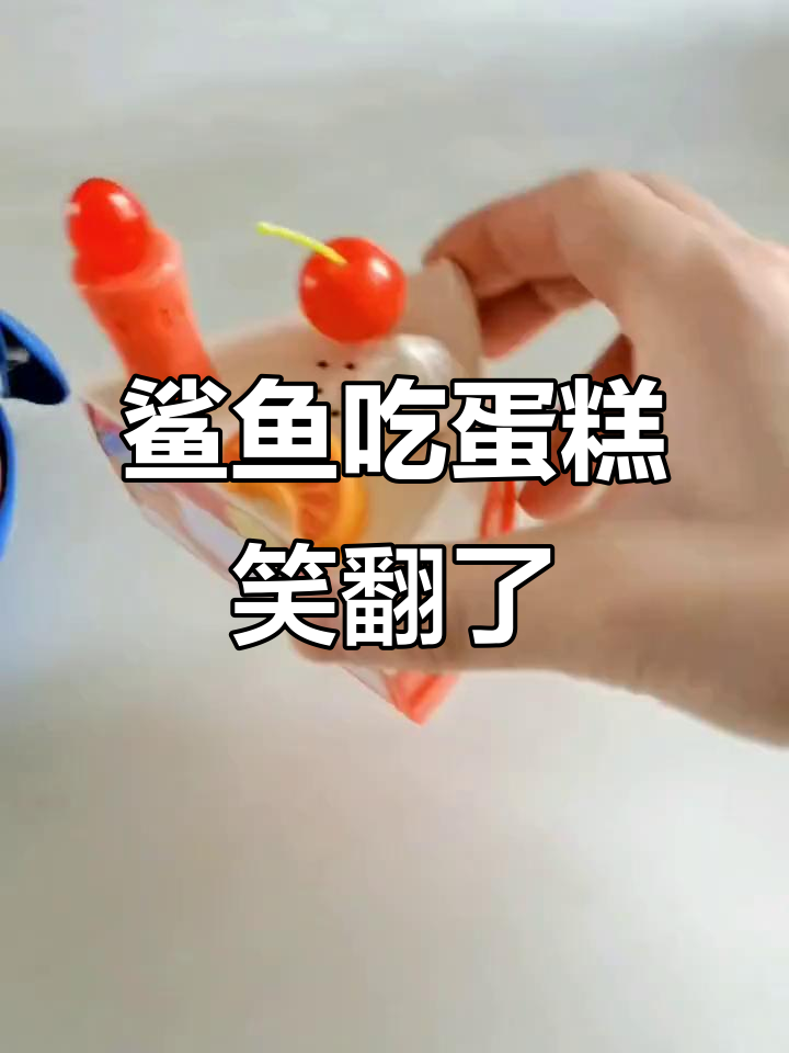 鲨鱼宝宝挑战生日蛋糕，嘴巴动不了太搞笑了