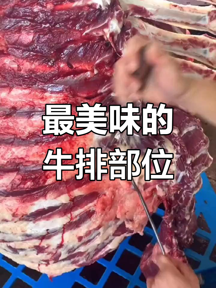 牛肉各部位的美味指南