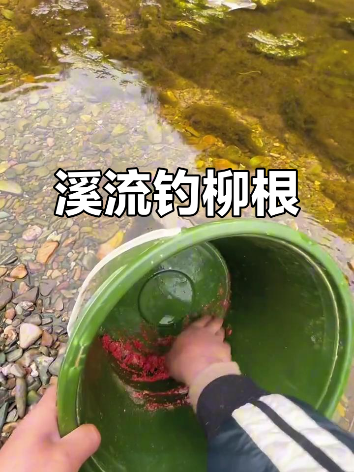 溪流钓柳根鱼,水质要求高,狂拉不停!
