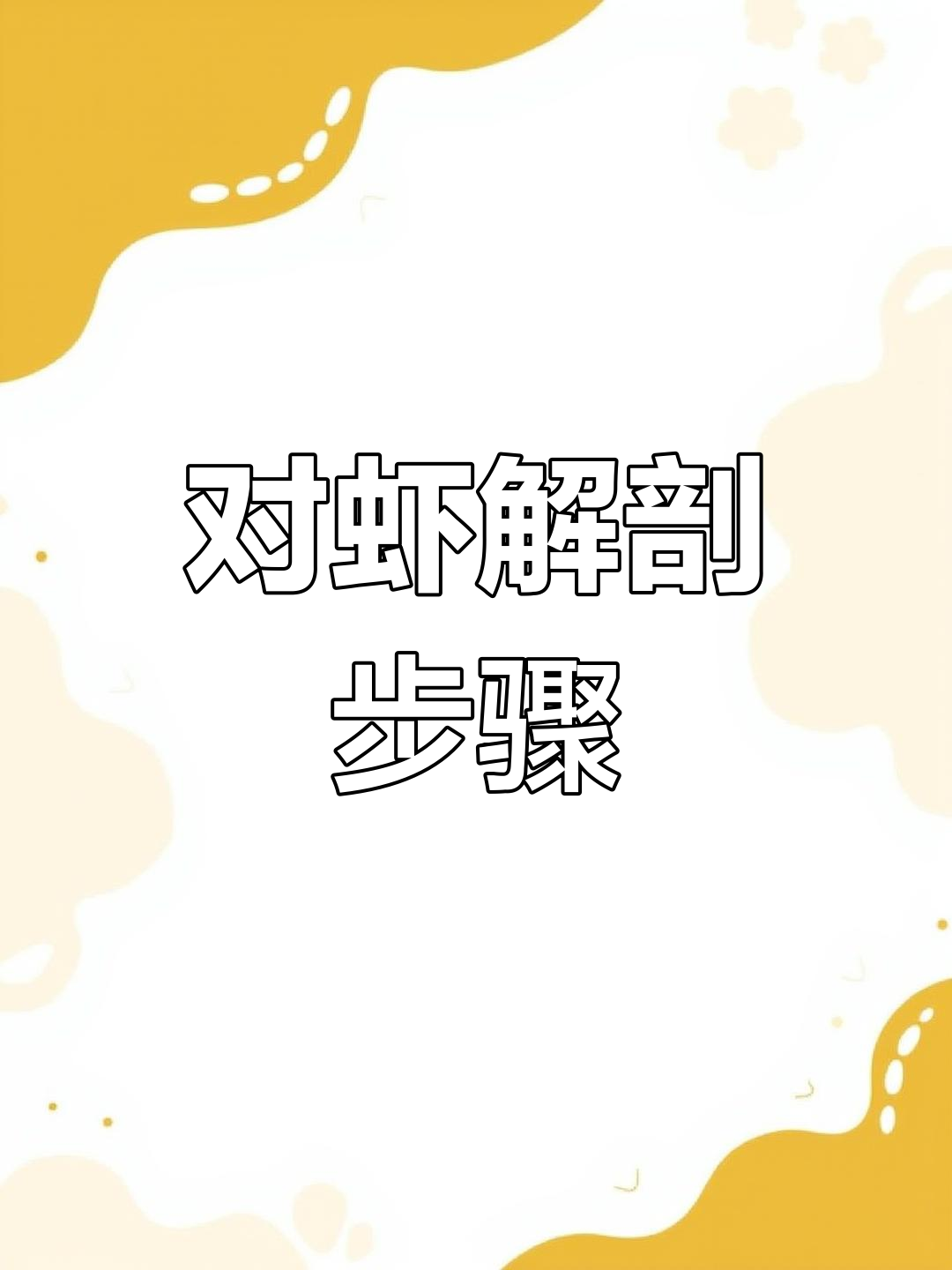 南美白对虾解剖观察技巧