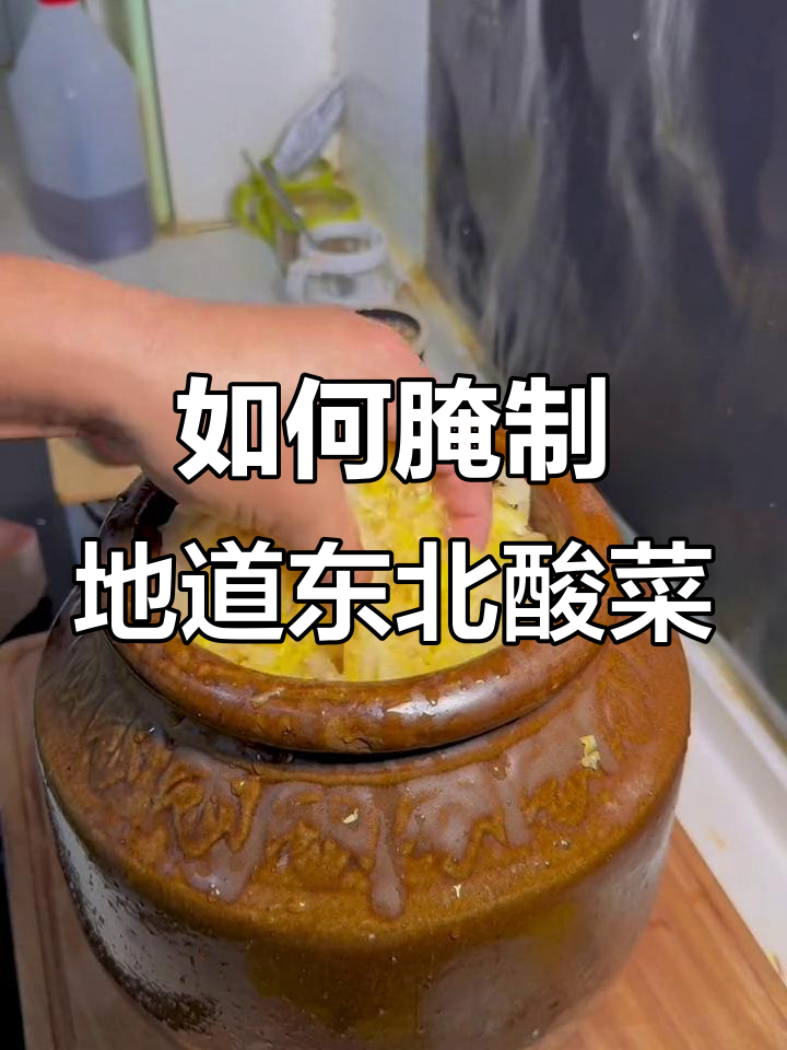 东北酸菜快速腌制秘诀，教你如何做正宗大缸酸菜