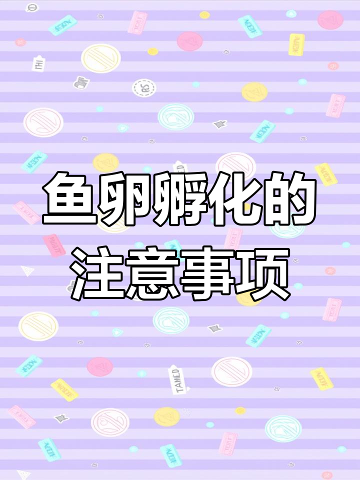 金鱼卵孵化过程全解析