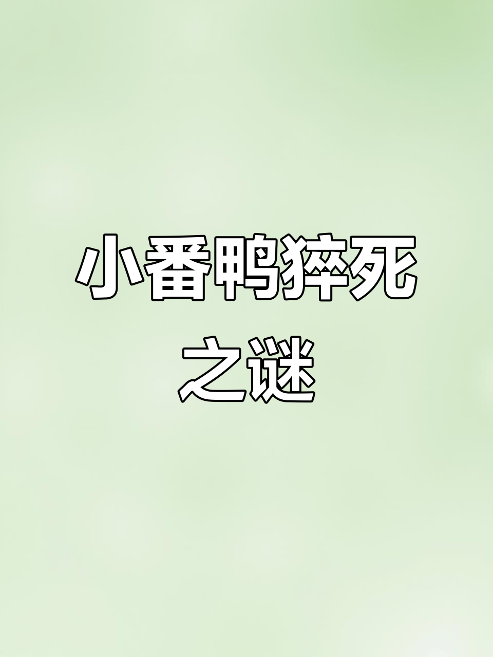 白色小番鸭突然死亡,毫无征兆,令人困惑