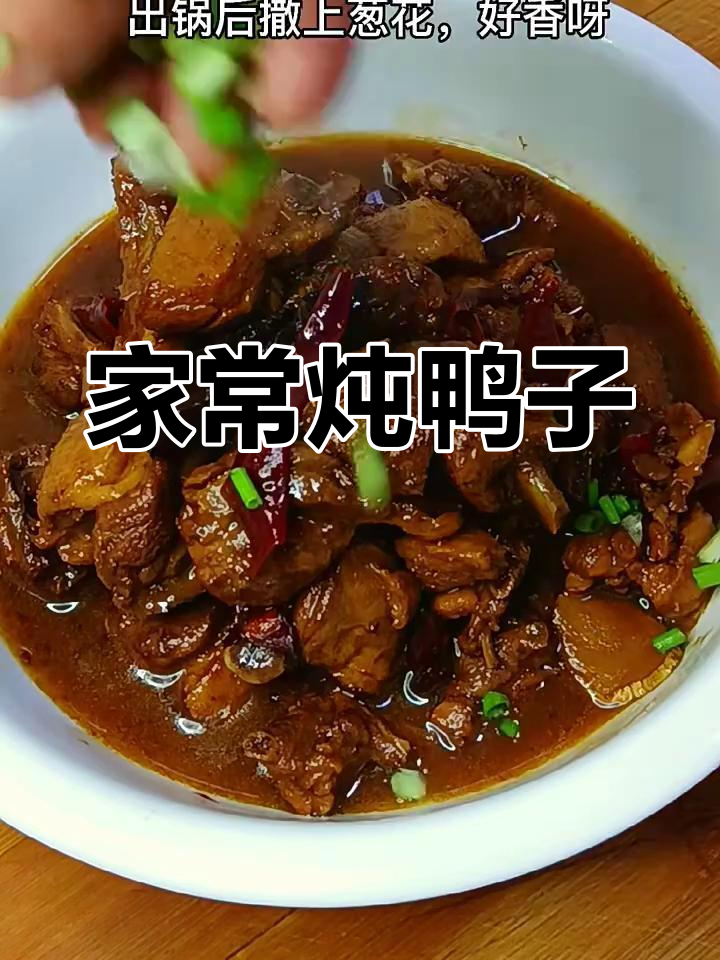 炖鸭子的家常做法,简单又美味