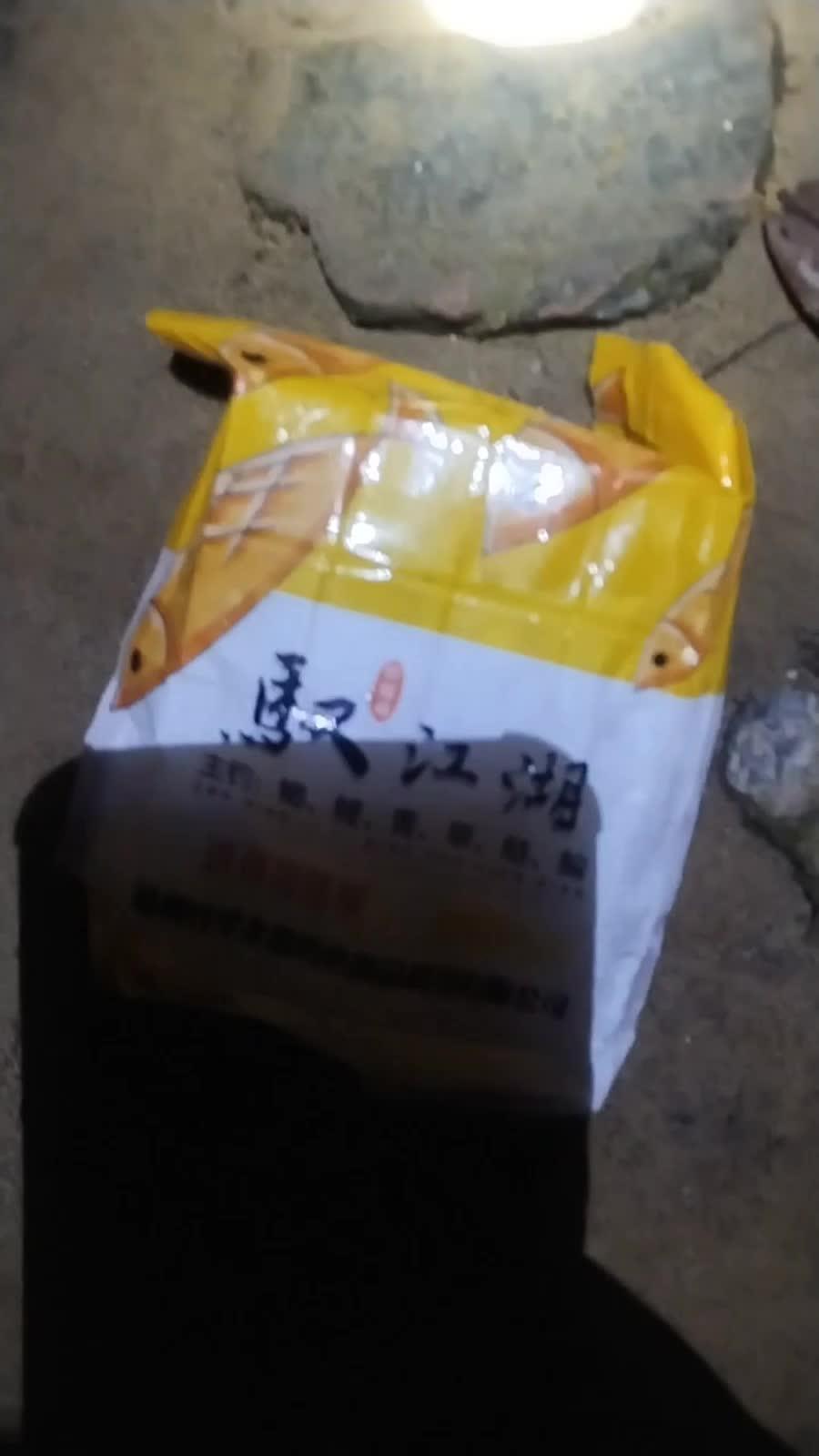 #钓鱼才是抖音运动顶流 今天东江，鱼没钓到，收杆的时候锚到一条大鳊鱼#打龟是不可能的 #钓