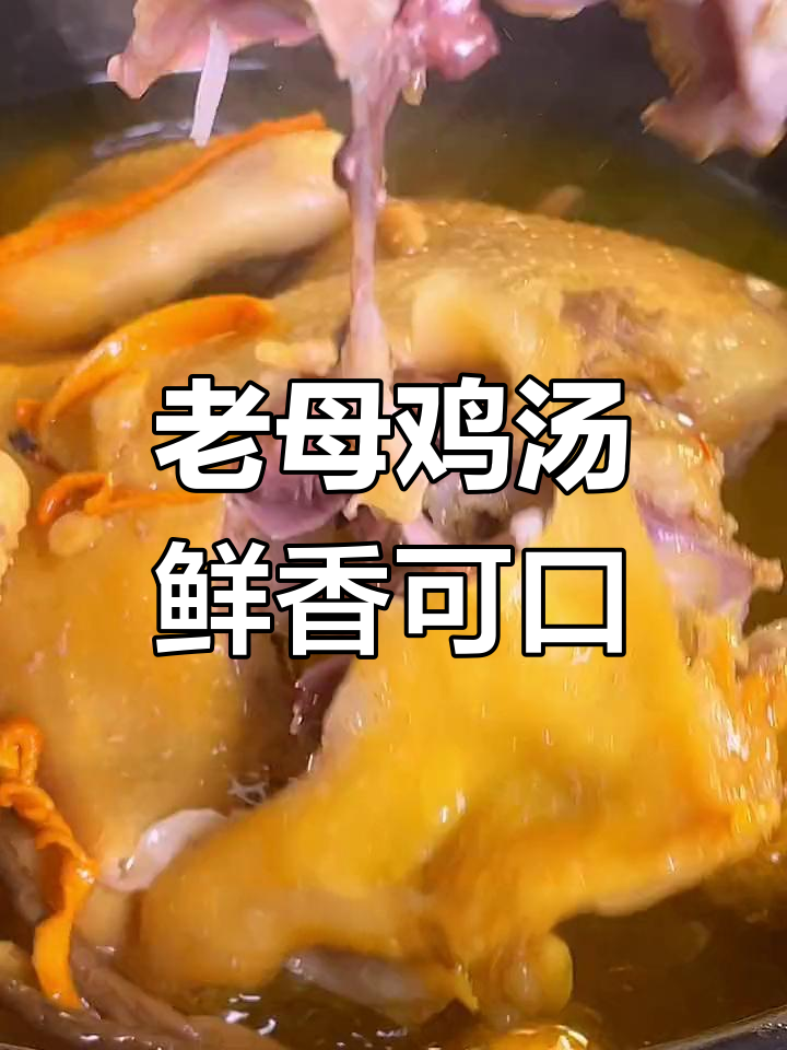 老公休息,周末炖老母鸡汤,鲜美至极