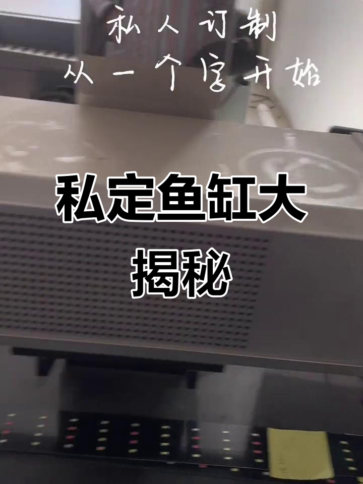 私人定制鱼缸,豆豆晚安的奇妙之旅