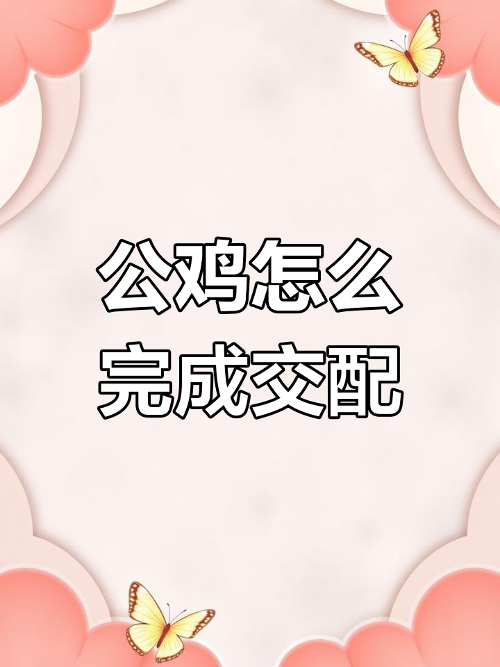 公鸡没有丁丁,如何交配?揭秘“泄殖腔之吻”的奥秘