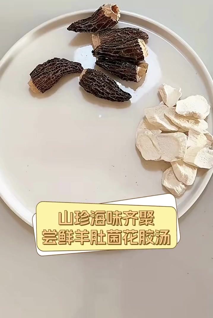 山珍海味齐聚,尝鲜羊肚菌花胶汤