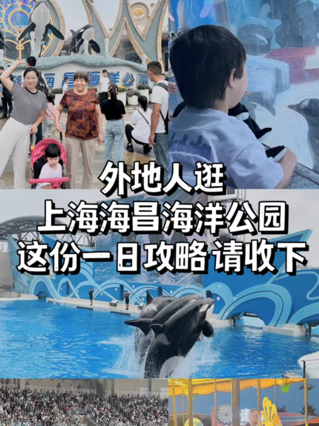 熬夜整理超详细上海海昌海洋公园游玩攻略