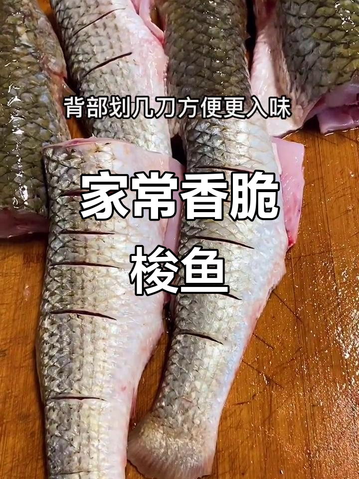 梭鱼家常做法,煎炖一锅搞定!