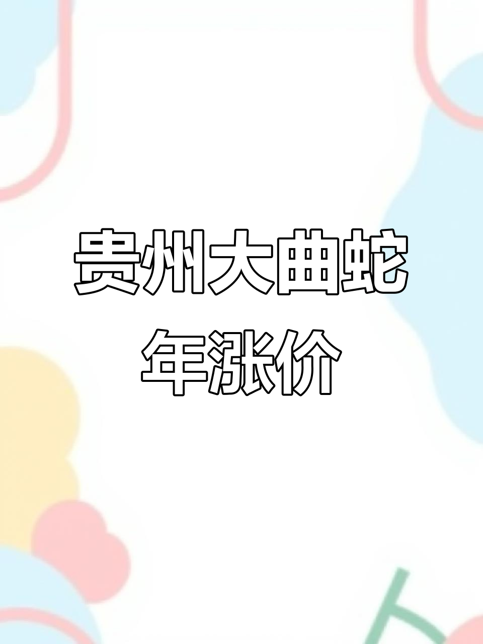 贵州大曲蛇年酒,停产在即价格暴涨,收藏价值极高