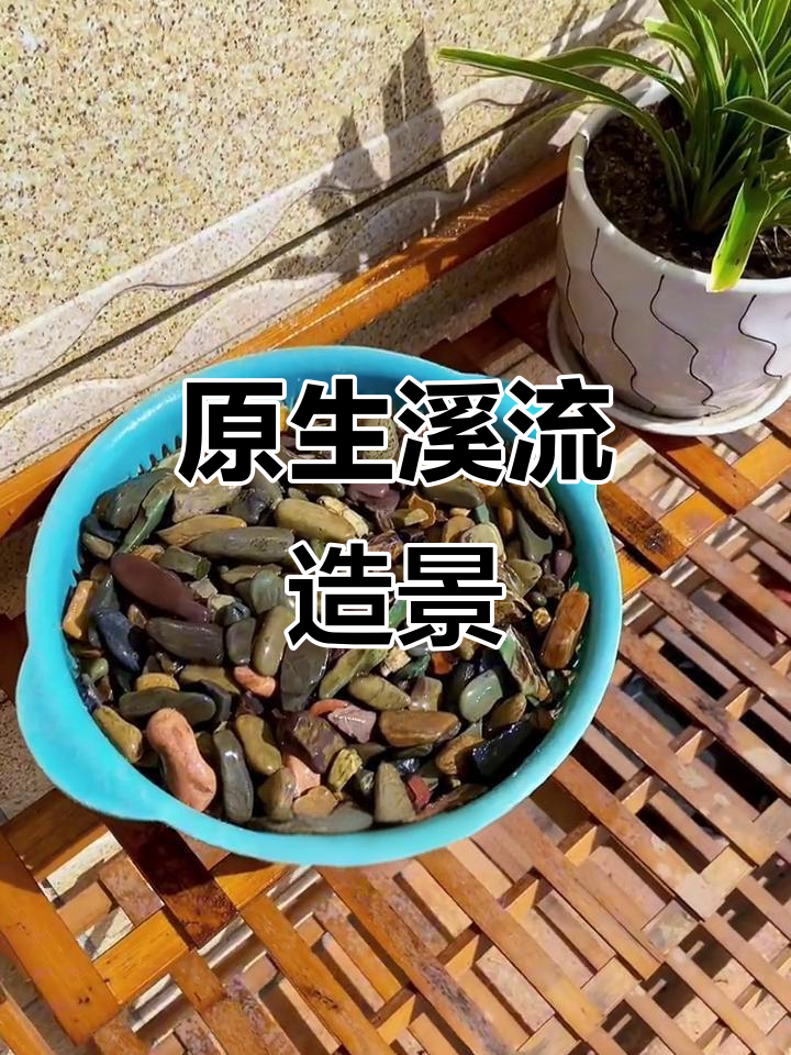 纯天然溪流沙,打造原生鱼缸景观,降低紧迫感