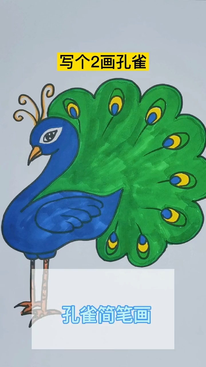 孔雀简笔画