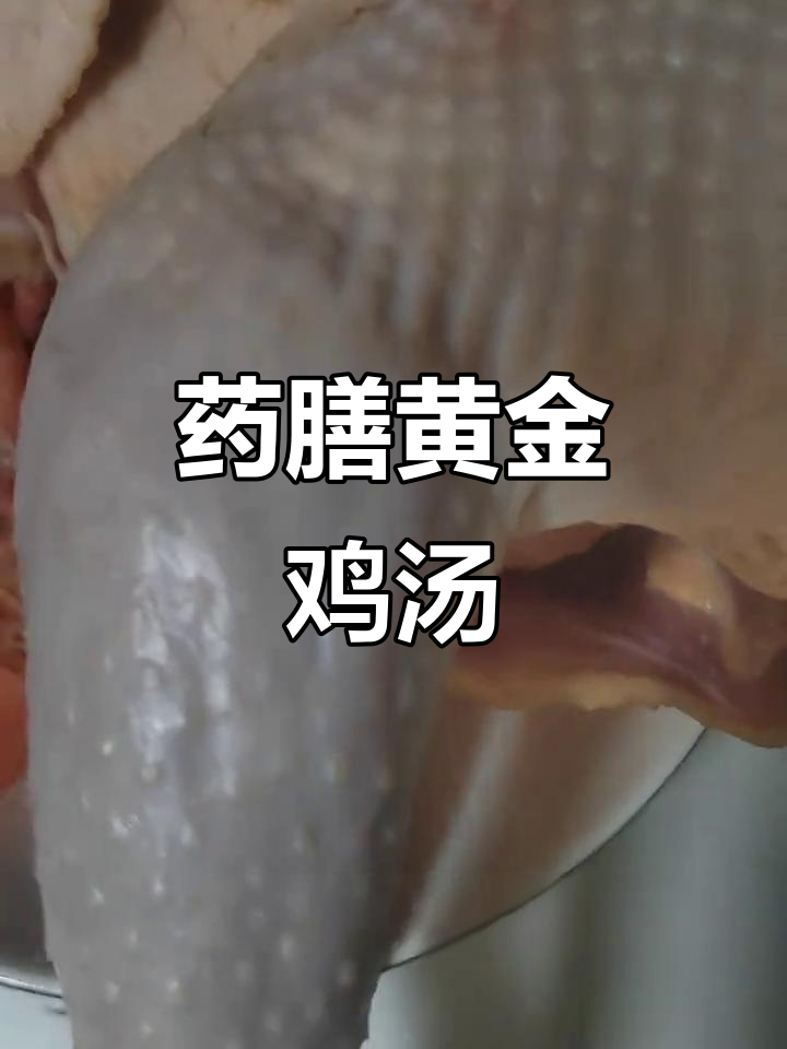 野生灵芝炖公鸡,滋补药膳大揭秘