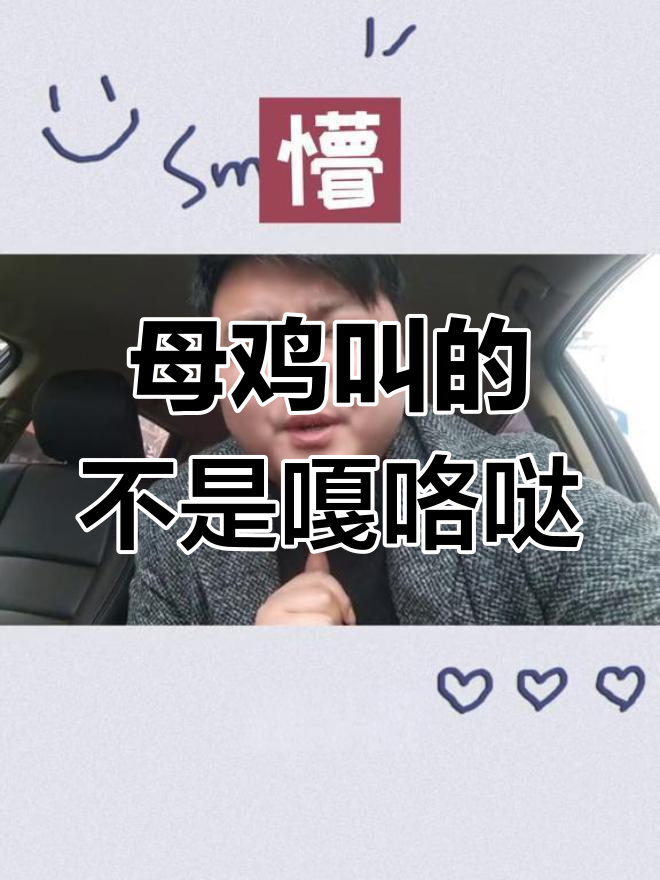 母鸡下蛋叫声真相,原来是“爸爸”的声音!