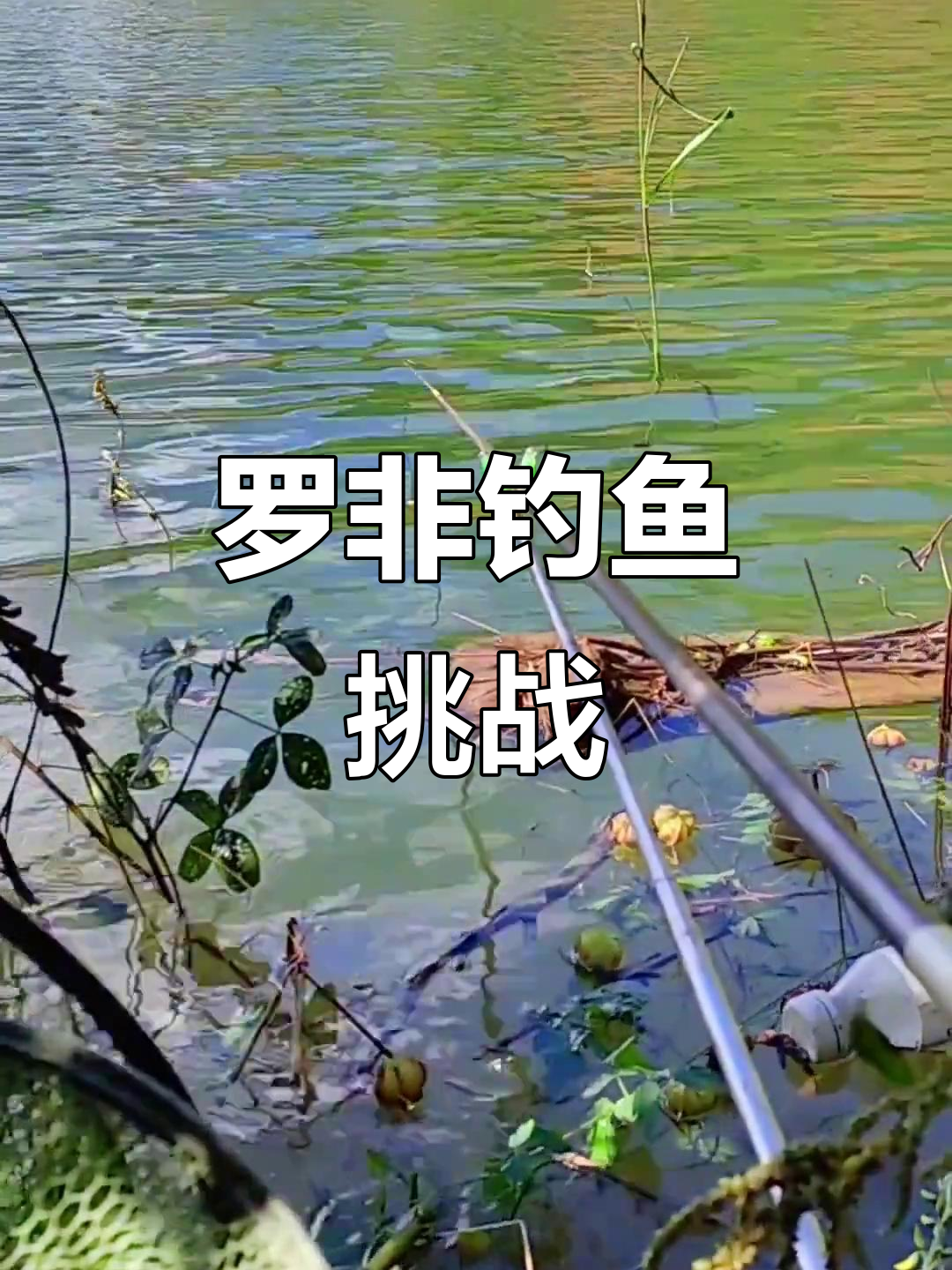 钓罗非鱼也能变丑?看我怎么做!