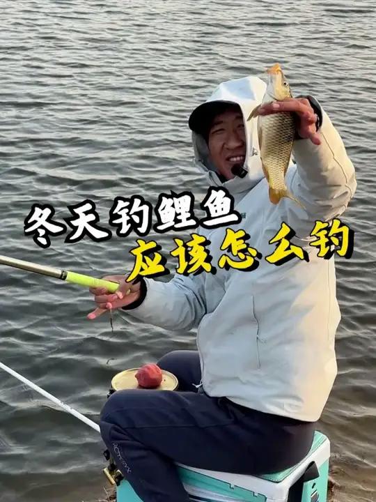 冬天钓鲤鱼 应该怎么钓