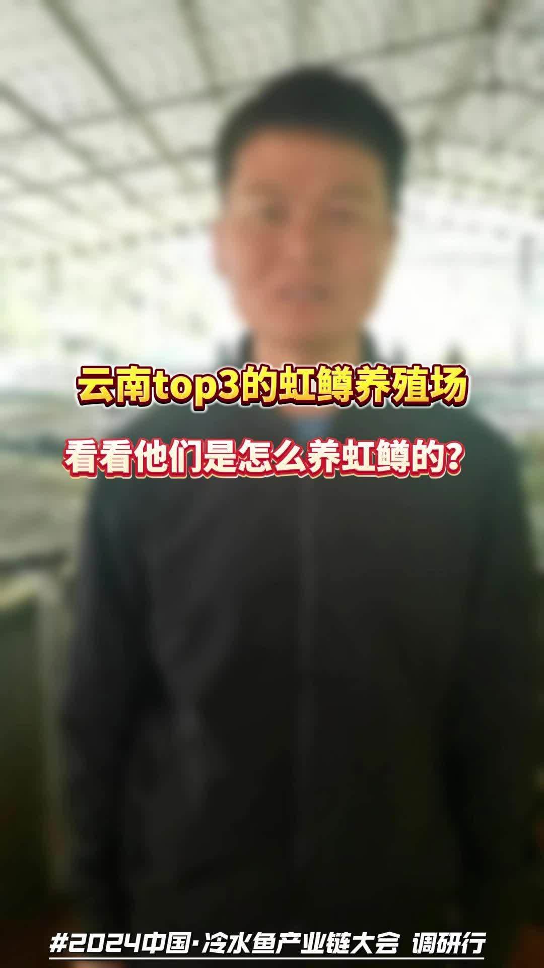 云南top3的虹鳟养殖场,看看他们怎么养虹鳟的?虹鳟 水产养殖 2024中国·冷水鱼产业链