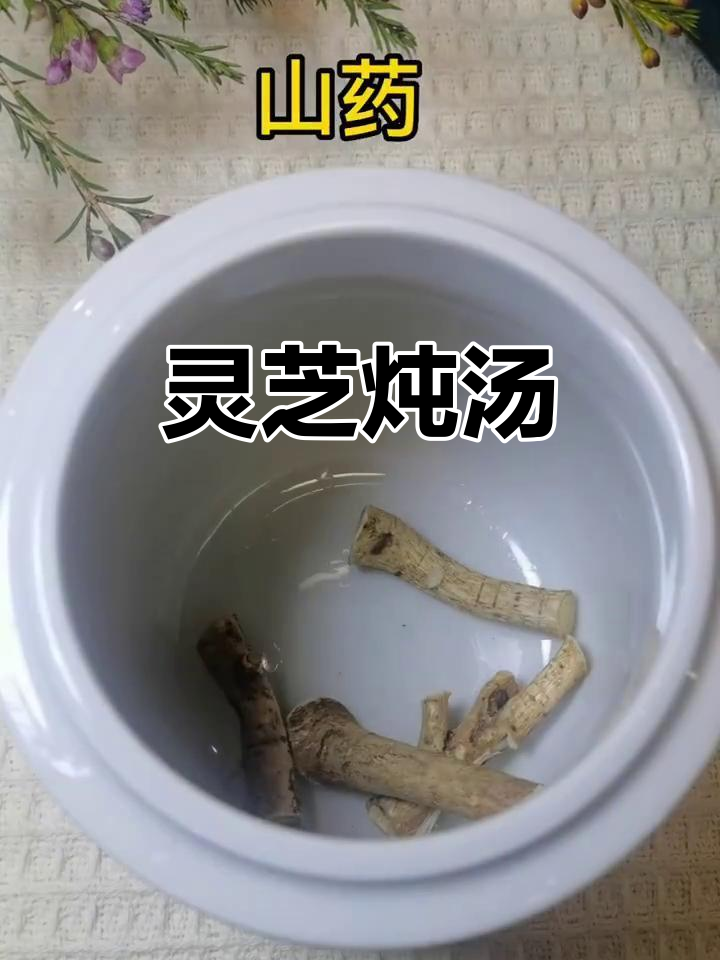 灵芝炖鸡汤,滋补又美味