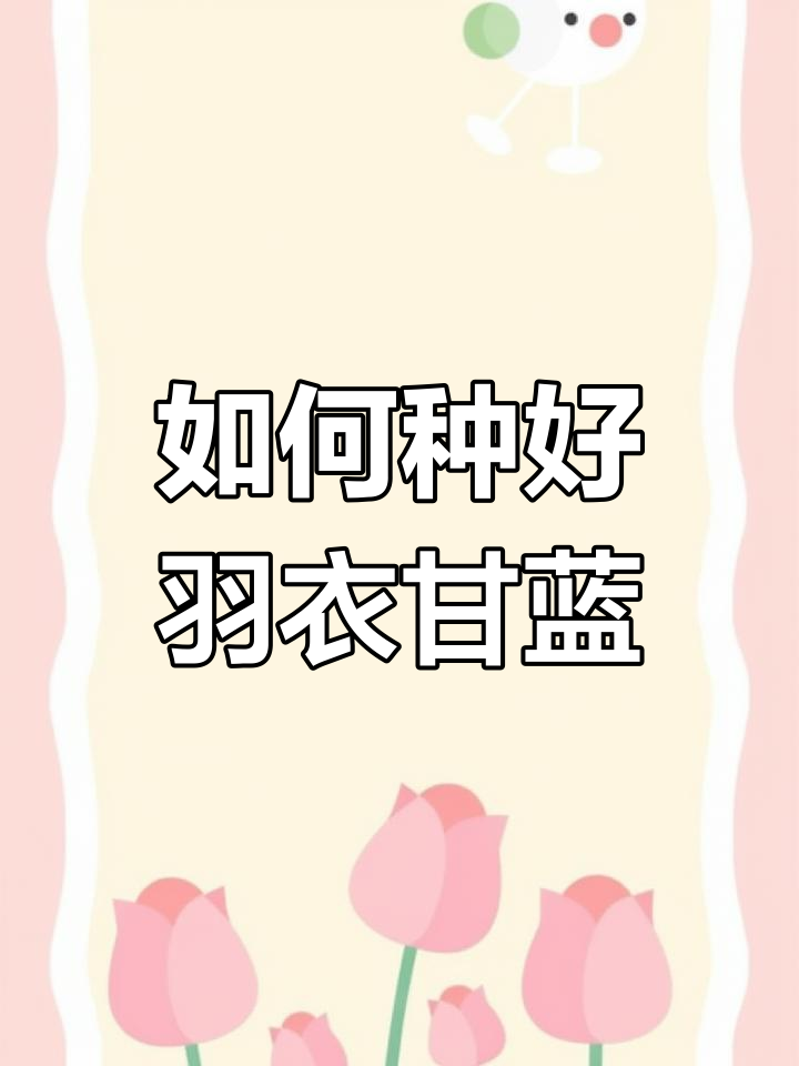 鱼衣甘蓝上盆技巧与养护要点,轻松搞定!