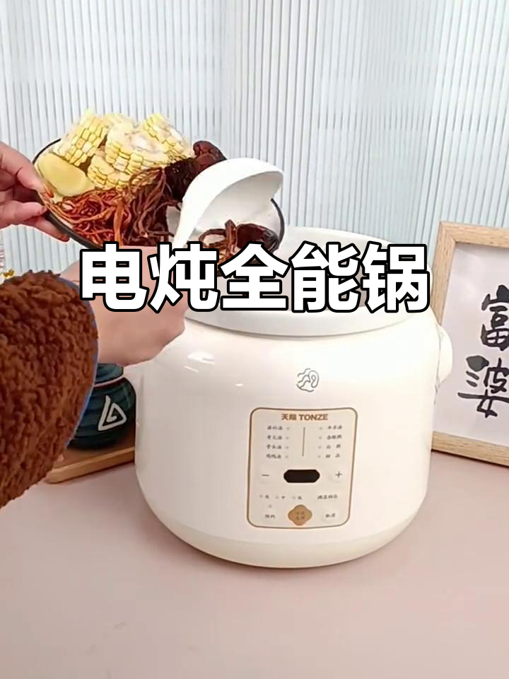 天际电炖锅,煮粥煲汤甜品一锅搞定