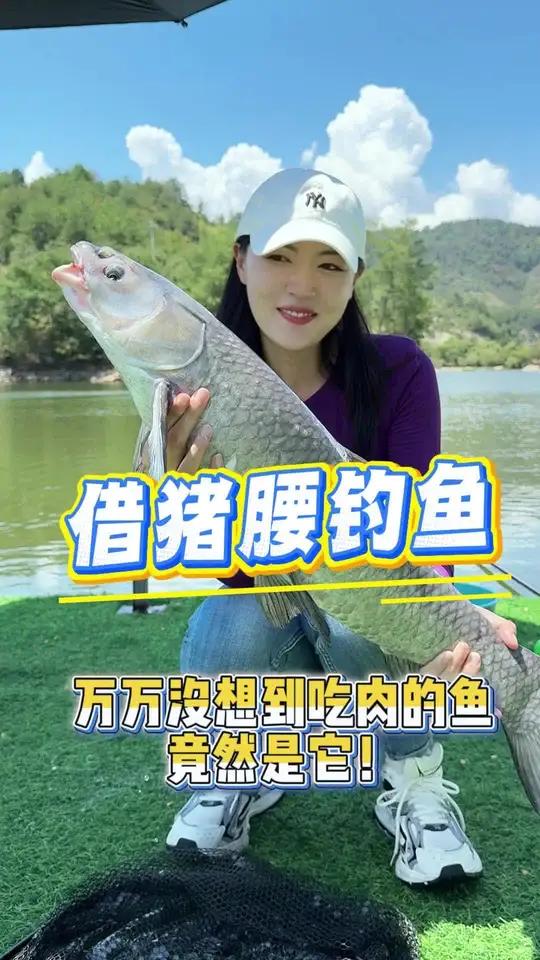 阿姨借我猪腰子去钓鱼,万万没想到吃肉的鱼竟然是“它”!