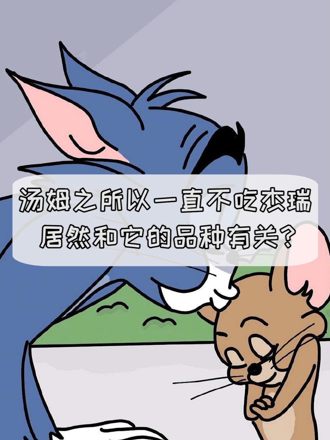 汤姆不吃杰瑞,除了主角光环,还和品种有关
