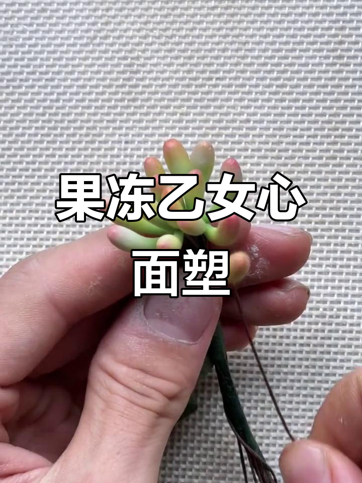 花卉雕塑教程:轻松捏塑果冻乙女心多肉植物