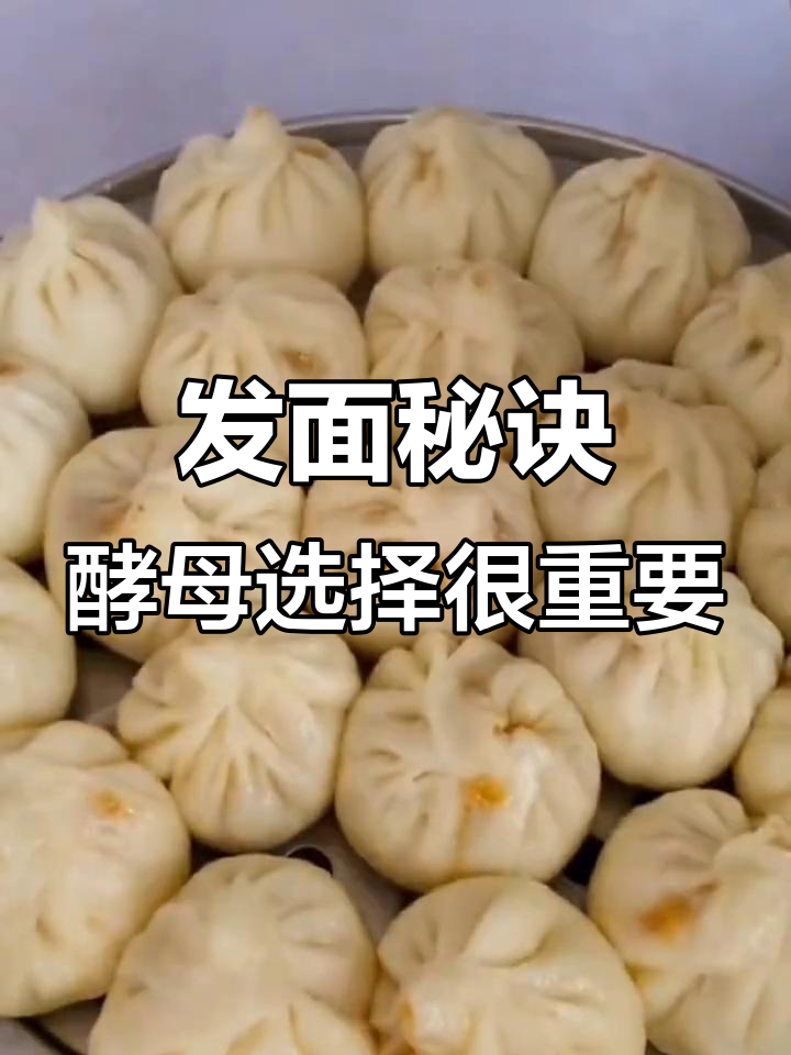 包子馒头不发愁，酵母粉选对才是关键