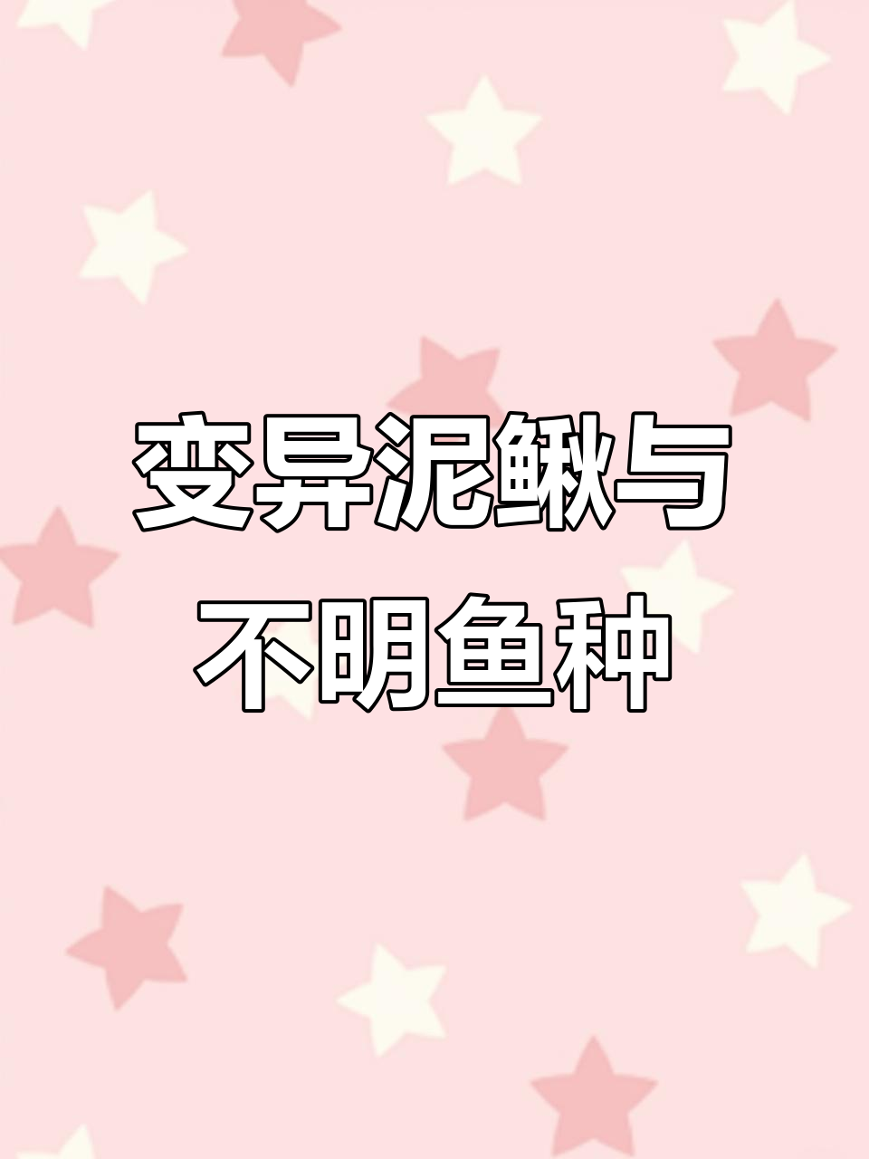 菜市场新发现:变异泥鳅与神秘小金翅,公母难辨
