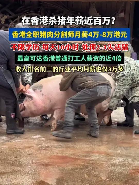 在香港杀猪年薪近百万?全职猪肉分割师月薪4万-8万港元 #社会百态#打工人#扩散周知#惊呆